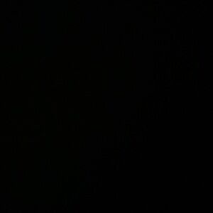 Meet your Posher, Dona